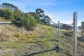 Property photo of 15 Georgia Court Coles Bay TAS 7215