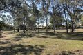 Property photo of 7 Annie Street Bracken Ridge QLD 4017