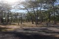 Property photo of 263 Awoonga Dam Road Benaraby QLD 4680