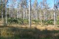 Property photo of 167-183 Minugh Road Jimboomba QLD 4280
