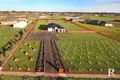 Property photo of 215 Glen Avon Drive Bannockburn VIC 3331