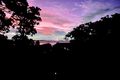 Property photo of 28 Coast Road Macleay Island QLD 4184