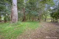 Property photo of 3 River Road Millgrove VIC 3799