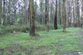 Property photo of 9 Clematis Park Road Clematis VIC 3782