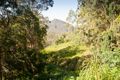 Property photo of 2234 Comboyne Road Killabakh NSW 2429