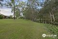 Property photo of 52 Molle Road Ransome QLD 4154
