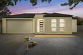Property photo of 20 Mortimer Street Kurralta Park SA 5037