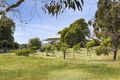 Property photo of 265 Pyrenees Highway Elphinstone VIC 3448