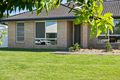 Property photo of 11 Cycad Drive Upper Caboolture QLD 4510