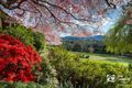 Property photo of 94 David Hill Road Monbulk VIC 3793