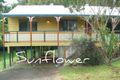 Property photo of 41 Macdonnell Road Tamborine Mountain QLD 4272