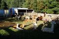 Property photo of 100 Petersons Road Ellinbank VIC 3821
