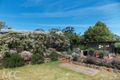 Property photo of 133 Carbine Road Forest Reefs NSW 2798