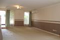 Property photo of 31 Burns Parade Chapel Hill QLD 4069