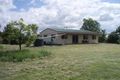 Property photo of 279 Reid Road Alton Downs QLD 4702