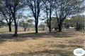 Property photo of 46-58 Day Road Gleneagle QLD 4285