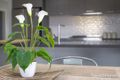 Property photo of 16 Cannon Court Sunbury VIC 3429