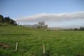 Property photo of 1071 Wiangaree Back Road West Wiangaree NSW 2474