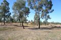 Property photo of 5585 Chinchilla Tara Road Tara QLD 4421
