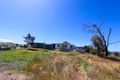 Property photo of 128 Blueberry Farm Road Courabyra NSW 2653