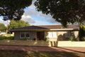 Property photo of 42A Torrens Street Linden Park SA 5065