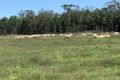 Property photo of 510 Westport Road Jacks Creek NSW 2390