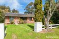 Property photo of 188 Marsh Road Bobs Farm NSW 2316