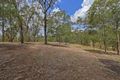 Property photo of 98 Moonlight Avenue Highvale QLD 4520