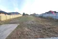 Property photo of 19 Morrison Street Brighton TAS 7030