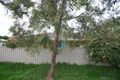 Property photo of 74 Lovelock Road Parafield Gardens SA 5107