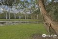 Property photo of 52 Molle Road Ransome QLD 4154