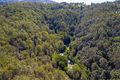 Property photo of 224 King Road Mooloolah Valley QLD 4553
