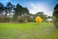 Property photo of 38 Murphy Street Romsey VIC 3434