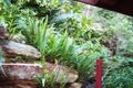 Property photo of 6242 Wisemans Ferry Road Gunderman NSW 2775