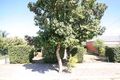 Property photo of 32 Chambers Avenue Richmond SA 5033