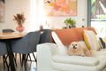 Property photo of 19/66 Richmond Road Morningside QLD 4170