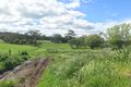 Property photo of 164 Wiggins Road Scotsburn VIC 3352