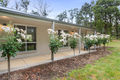 Property photo of 15 Ryan Road Kinglake West VIC 3757