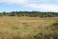 Property photo of 19 Hughes Road Plainland QLD 4341