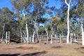 Property photo of 930 Sandy Point Road Lower Boro NSW 2580