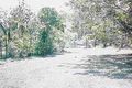 Property photo of 121 Beatts Road Forrest Beach QLD 4850