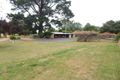 Property photo of 503 Mittagang Road Binjura NSW 2630