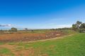 Property photo of 3 Bottle Brush Court Murray Bridge SA 5253