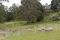 Property photo of 1683 Woodsdale Road Levendale TAS 7120