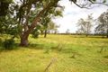 Property photo of 172 Harrington Road Coopernook NSW 2426