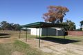 Property photo of 48 Cooma Road Narrabri NSW 2390