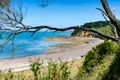 Property photo of 16 Prout Webb Road Shoreham VIC 3916