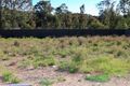 Property photo of 50 Raintree Terrace Wadalba NSW 2259