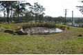 Property photo of 276 Tuckers Lane Greta NSW 2334
