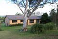 Property photo of 217 Paterson Road Bolwarra Heights NSW 2320